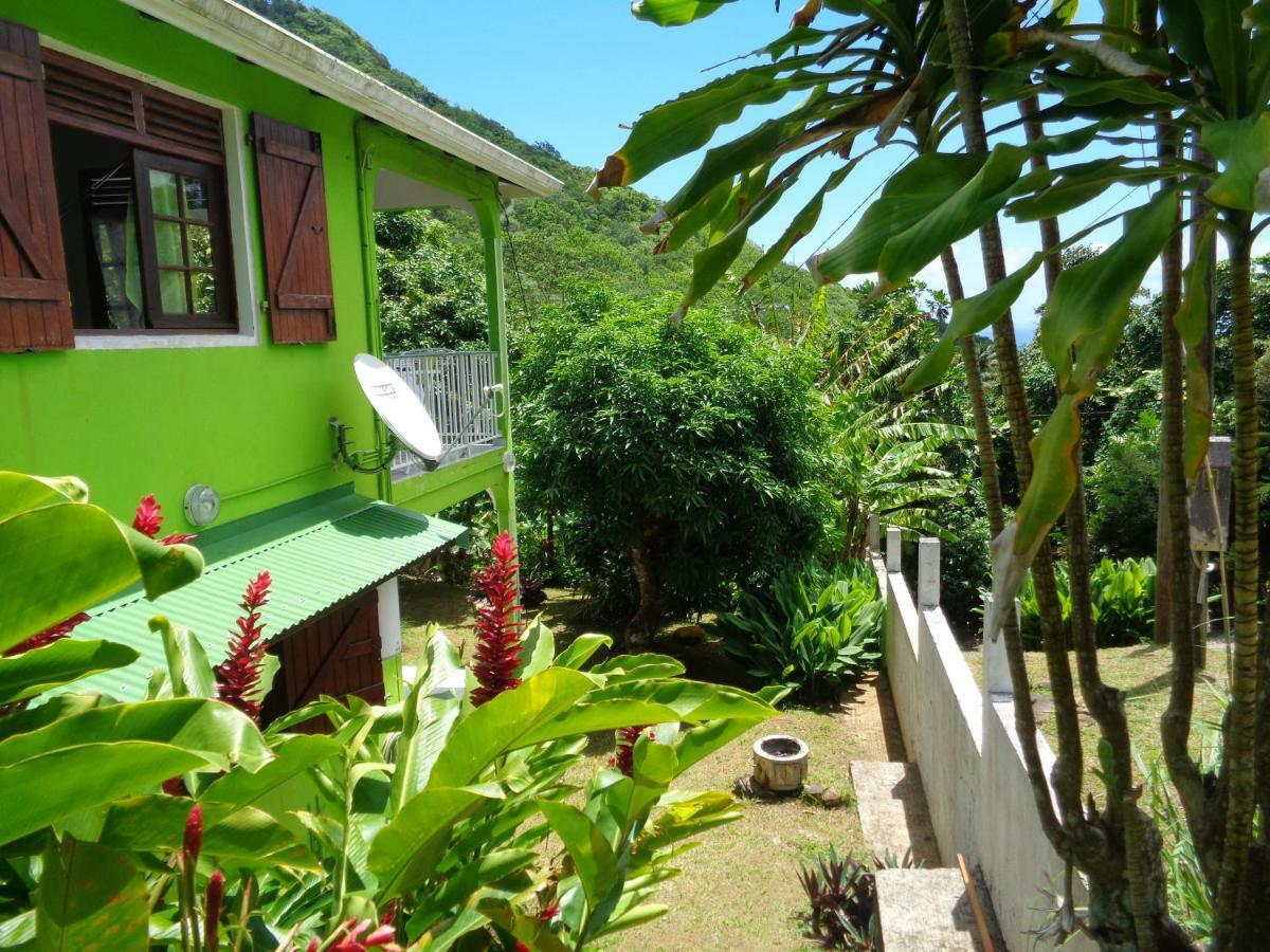 Jardin Bananier Apartment Deshaies Luaran gambar